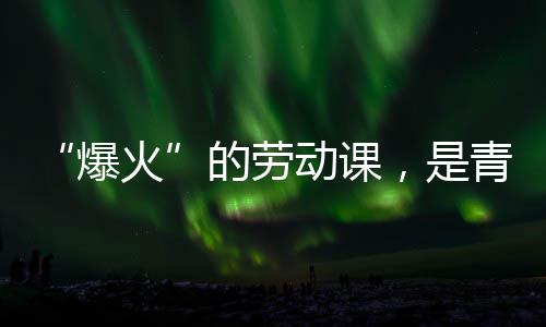 热烈爆的劳动课对话与社青年，是火会的